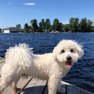 Meet your Posher, Rhonda